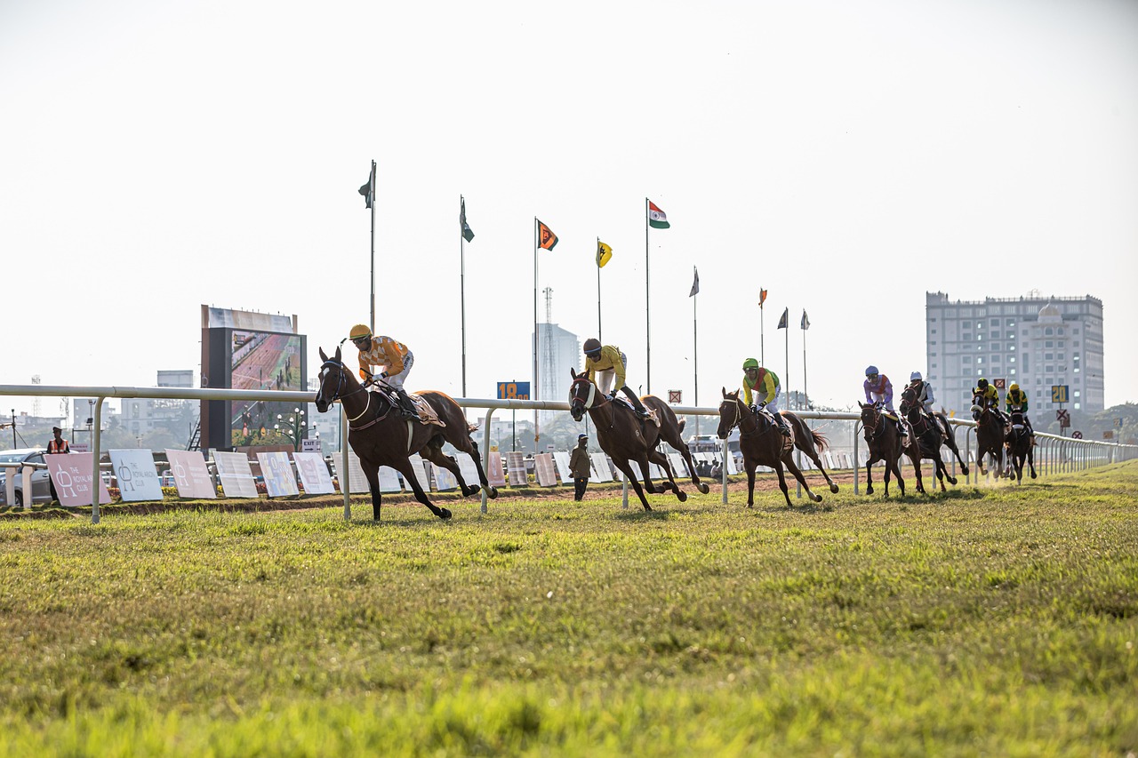 Should I Horse Racing Tips India: Pro Tips to Win in India (2027)