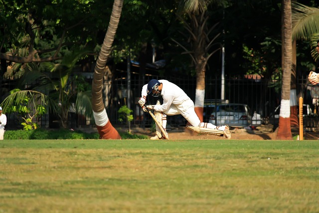 Simple Top 5 Cricket Betting Sites: Tested & Ranked for Indian Players (2027)